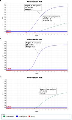 Metagenomic identification of pathogens and antimicrobial-resistant genes in bacterial positive blood cultures by nanopore sequencing